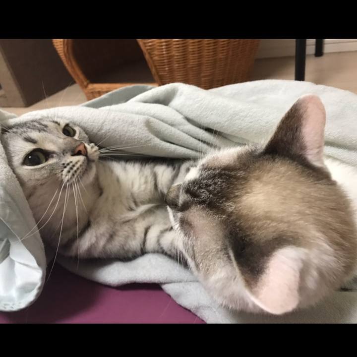 46c92d8c f616 4207 be74 08f523fd7ffe 1533966759613