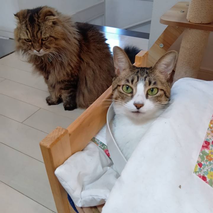 46c92e92 79de 46df 86be 1700c0193c24 1767248374235