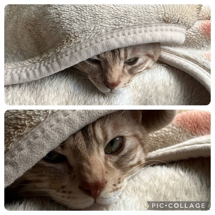 46c9321b f322 47e6 a802 be74a9ff30f3 1677990695046