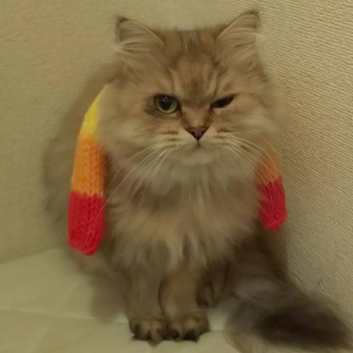 46c97a4d e540 4f87 bb98 35d62eacc110 1633061219646