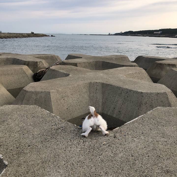 46c97fce 1b41 4b80 bb79 fc4a8b67329a 1604186410537