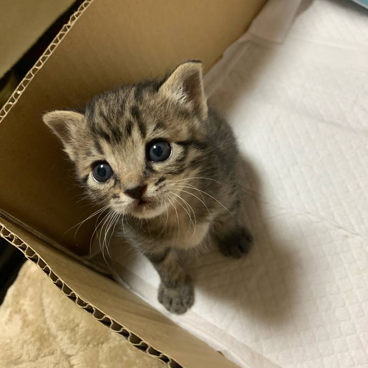 46c97fdc 529e 4bd0 b2b1 c36e020078fc 1587652588246