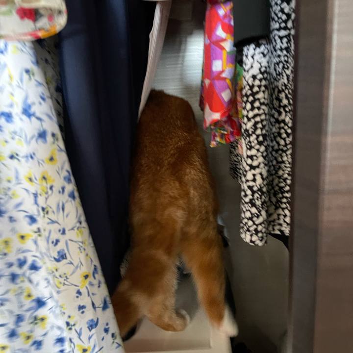 46c9c287 e894 4acc ba7c 4baf884958bc 1632357239229