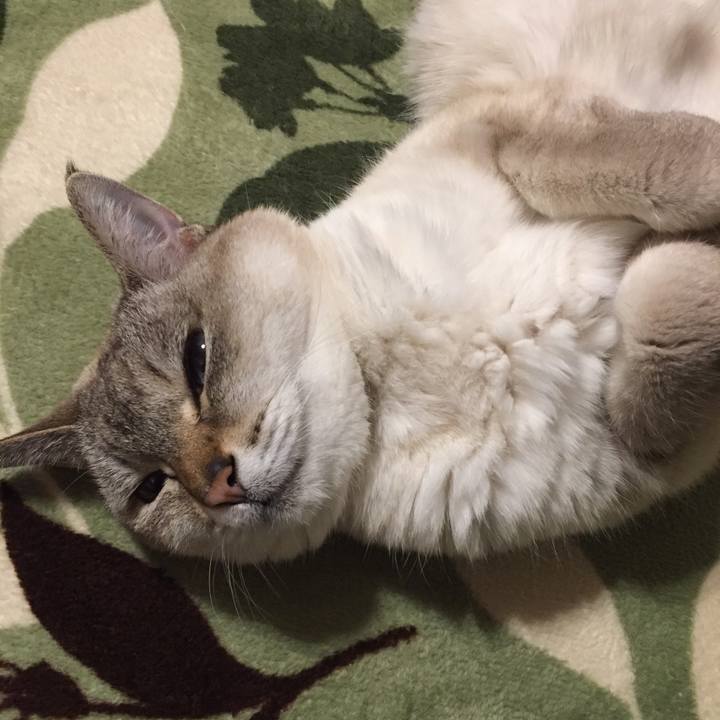 46c9e2e6 2cad 460b bb7b 89978551a334 1587727197500