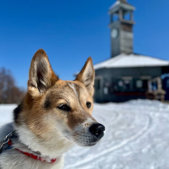 46c9f1af 5ba3 4508 917b 124f11db38b2 1772766657564