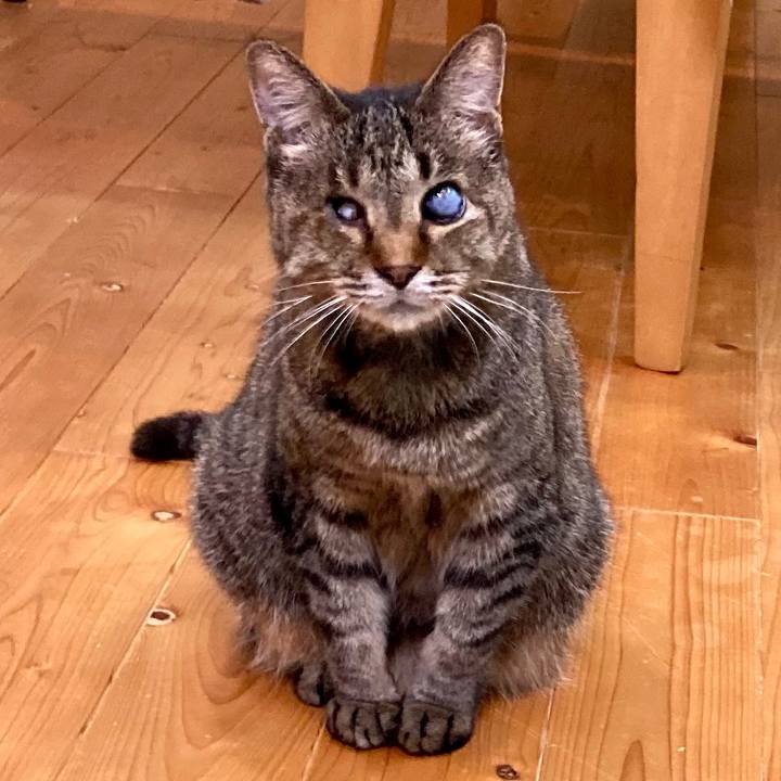 46c9f2c8 d10e 430c 9d21 127126209a3d 1654346334794