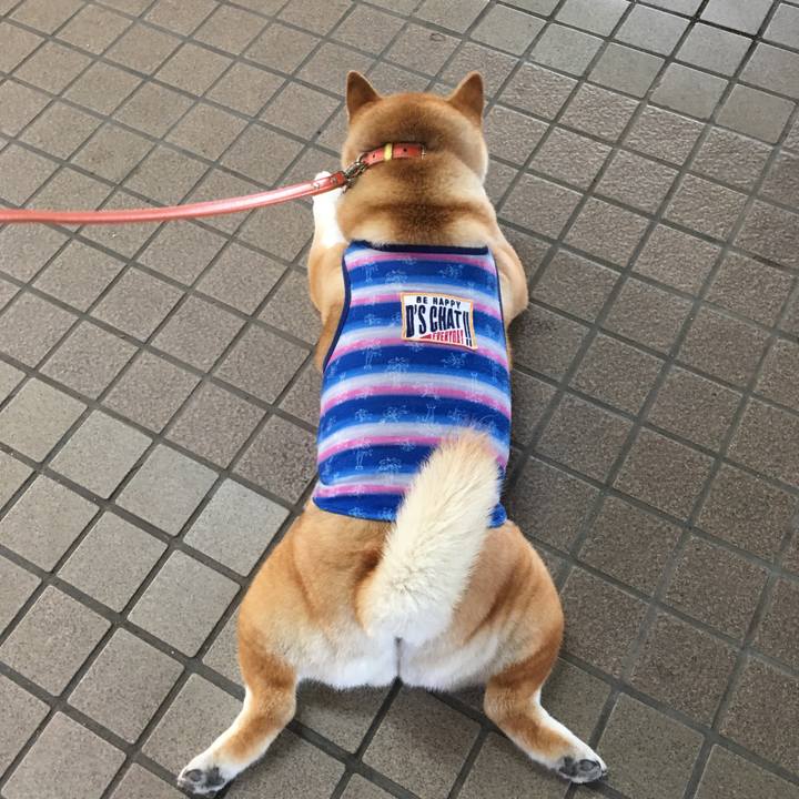 46ca13f9 1331 4ab9 8db8 ea504cefaf46 1564527242615