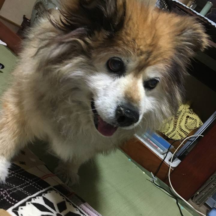 46ca4278 3ae7 4ca2 b0e9 c5779c03bfb6 1597809403686