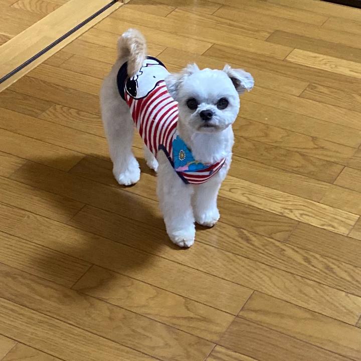 46ca976a 4b0a 4cee af5c b4b7e7e2be85 1581154605851