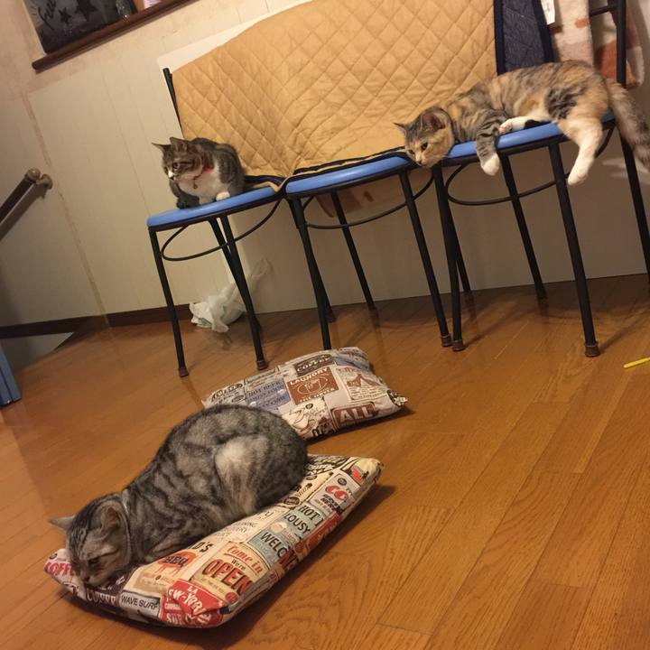 46caf14c 3c8e 4c4e 8af7 ec42fdbfc6ac 1560951163160