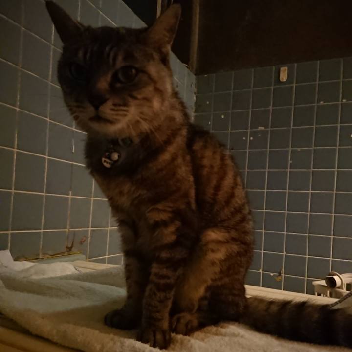 46cb254a 97ec 4704 b4cb 0b9cb1750e1e 1568457498873