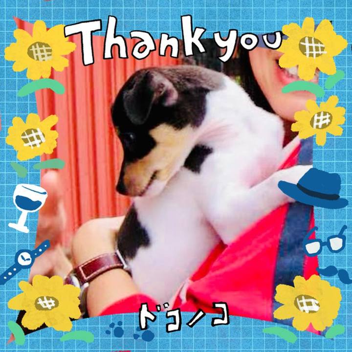 46cb2e9f e0fe 4595 9795 b8c3bac3f87e 1718539918270