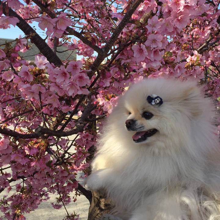 46cb2f10 419b 4db8 aef9 83527c8fa53e 1614566070141