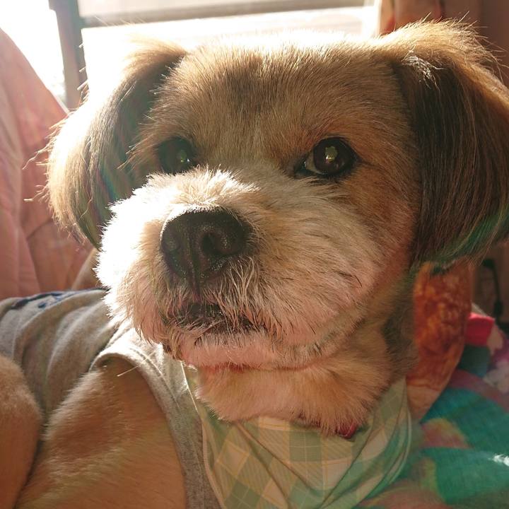 46cb316f f1f5 446d 99f5 e5bf3ea03e13 1555714217474