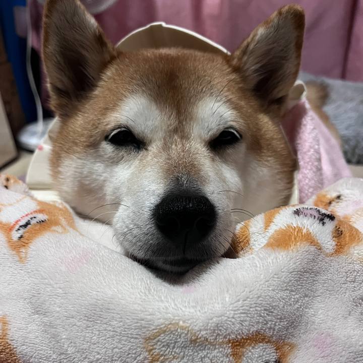 46cb4b56 a442 4e5a b9f4 e1d47e6b1e02 1703406005453