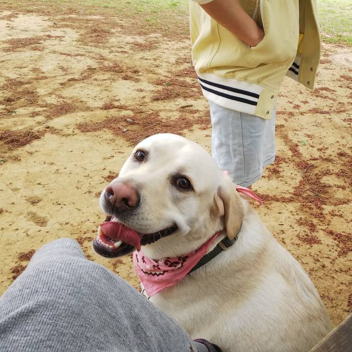 46cbb414 06a8 4c8a 92db 77507b09af1e 1523680786225