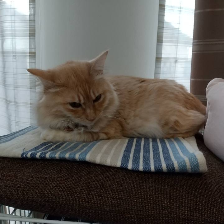 46cbc0e5 9a0b 4083 b31c fde7632884fa 1644903998108