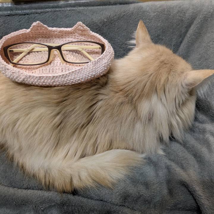 46cc2e1d 0dd9 4c7b 89a1 efa383e63daf 1770888931199