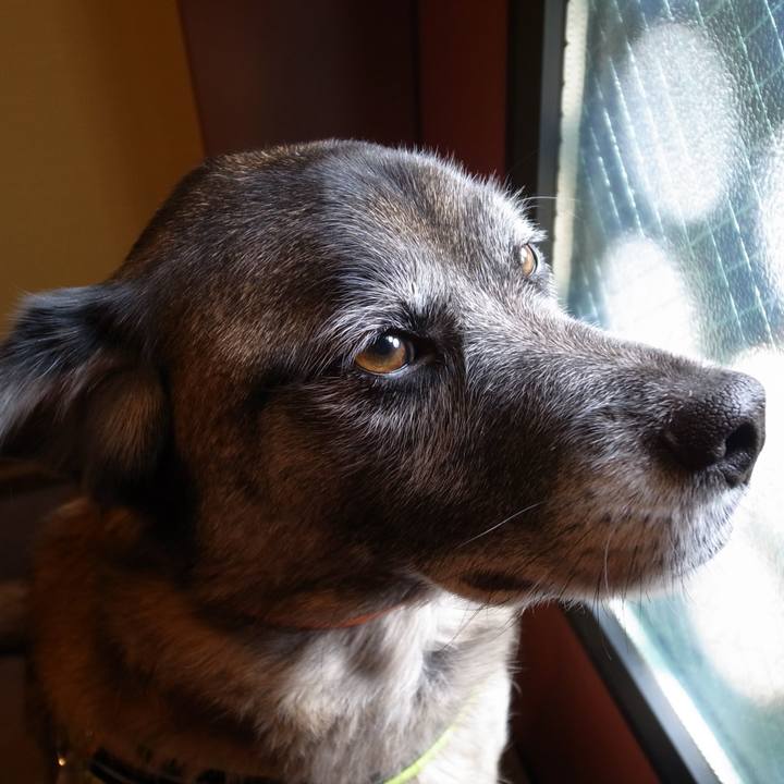 46cc76c2 94c1 4aa5 9a4b 50cdb0079b4e 1583931852408