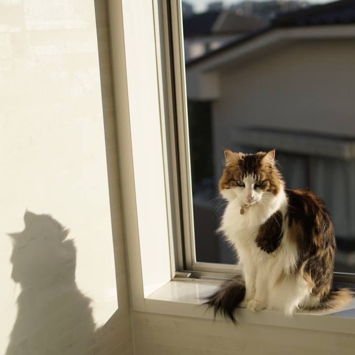 46cd0256 d46b 444b 9fb0 8e98b08b3cfd 1575013650043