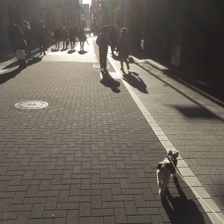 46cd5107 f3ce 4c38 8417 1764763b15d7 1515320802972