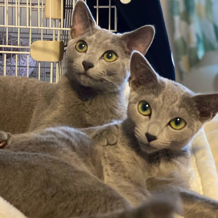 46cd5695 a53d 41de ad7b 1e165cf7ba2b 1610856188390