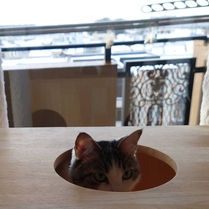 46cdcc2a 4c58 4760 b5b4 2c2a38d5360e 1736468580943