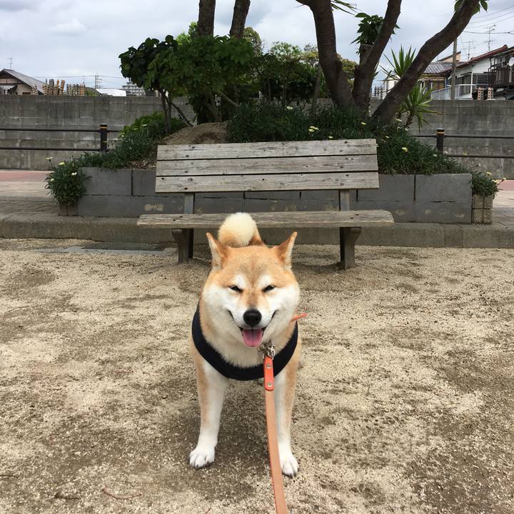 46cdfacc 2f29 4fe7 bd36 5b158ea40856 1560305286144