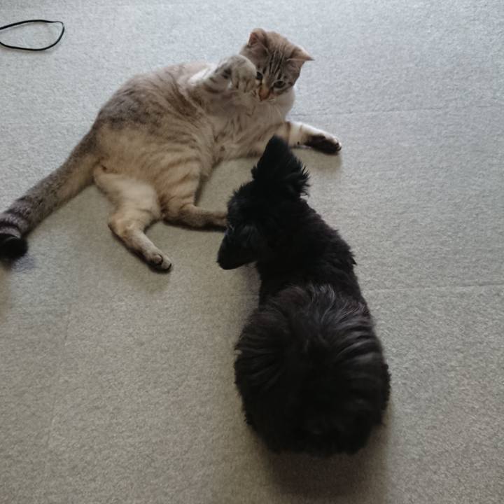 46ce8918 863d 4583 9247 e5b8efead187 1527548325197