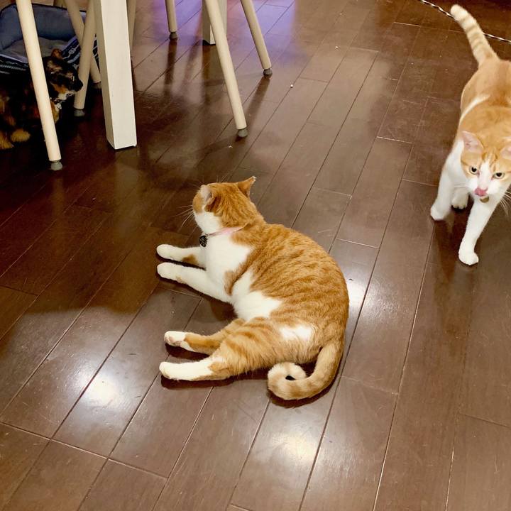 46ce9491 0f76 4534 b323 8e65f662449c 1569760935271