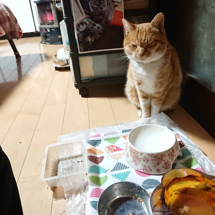 46ce9850 763b 49e0 b1ff f5cbd7c8b6b8 1607284755742