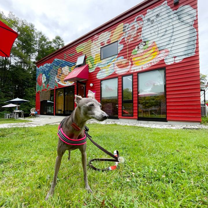 46cec4e9 157f 4e1f 80d6 b4d65de3168c 1758014528824