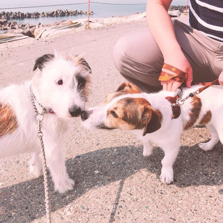 46cec9fd cbb6 4a82 b4e5 b87e18994f00 1525177202548