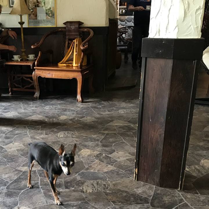 46cf295e a562 4bd5 9c5b 80d90feaded2 1535974337902