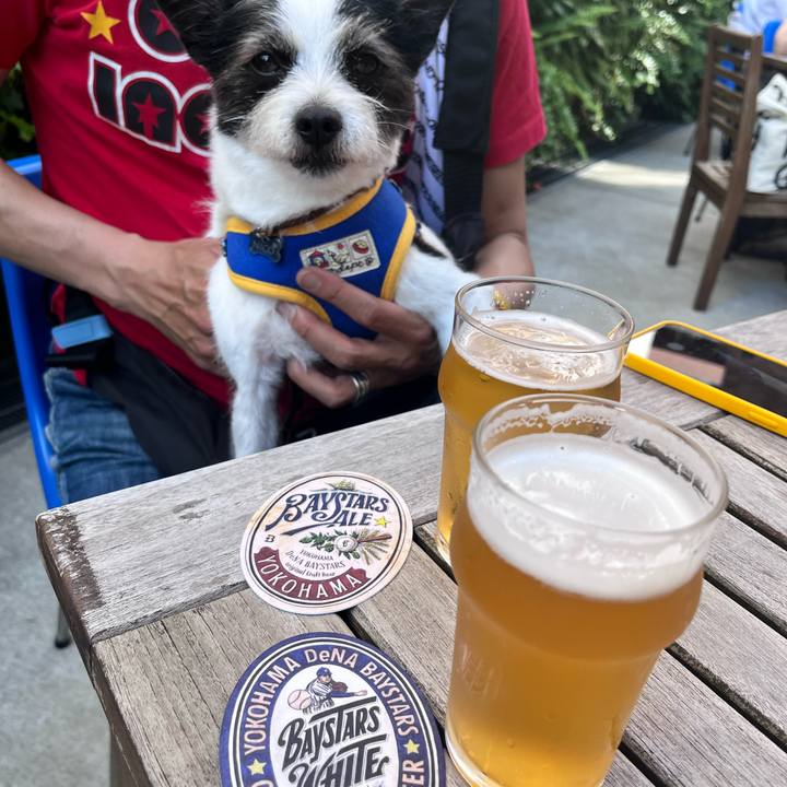 46cf5bdf 7ce4 4169 baba 683a53f3183b 1653802824657