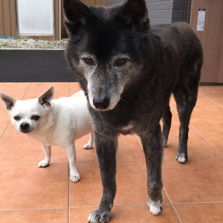 46cf821b bba7 4fd3 8f8f 79b5337662dd 1657278690852