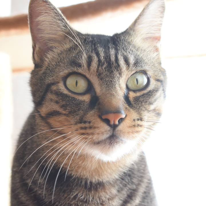 46cf9fd5 4a79 417c b154 6eeb578859cd 1539499843011