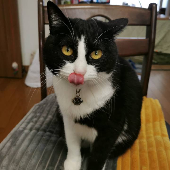 46cfa00b 82ff 435e 8e56 1400c7ec7f08 1618040783820