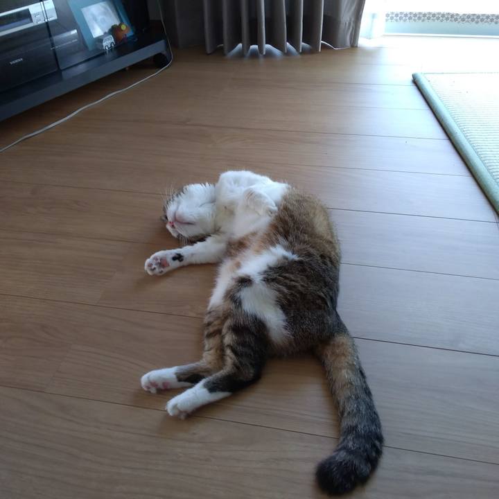 46cfadf9 7e75 444e babf 8543dc0427f4 1531611786827