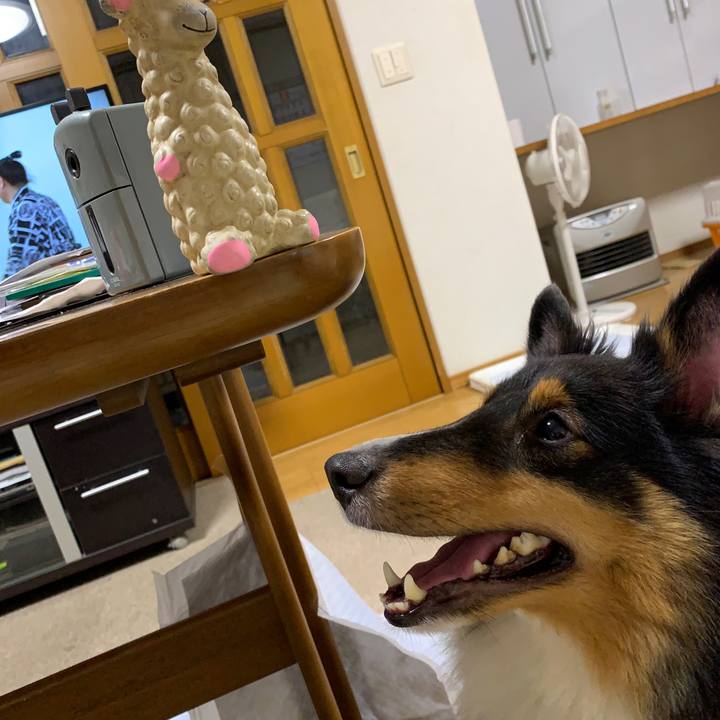 46d00a3e 01b6 47c6 8649 2f8b9d6864da 1567975534066