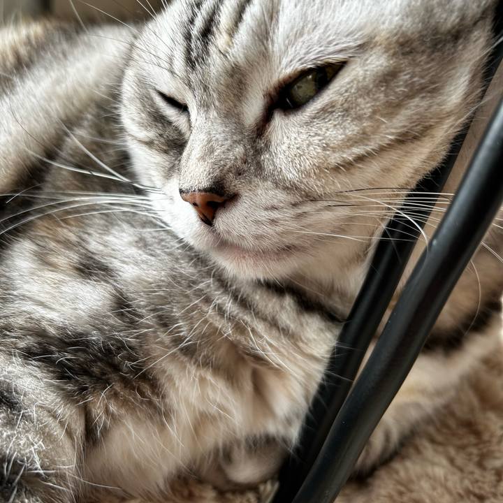 46d029bf 0f83 4988 83f6 912d5449e296 1764283330640