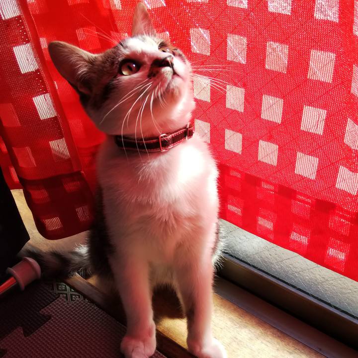 46d062ec 4b85 4c7c a68d 7cba11b3f8c8 1612583582295