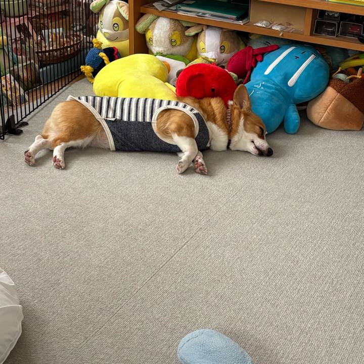 46d079b7 b294 4742 9012 1444c6d87826 1762321787978