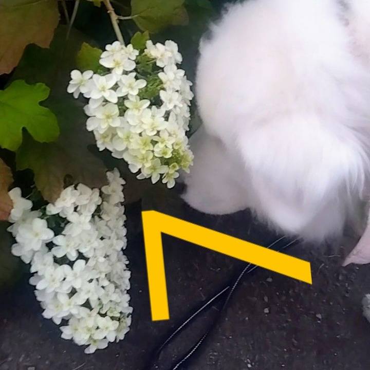 46d08358 125b 4b8c 87cd 434ba24c9714 1686514634228