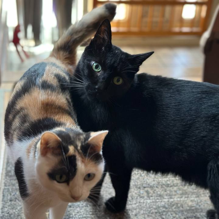 46d09c40 0793 43db a121 3f7334f7413e 1664933051397