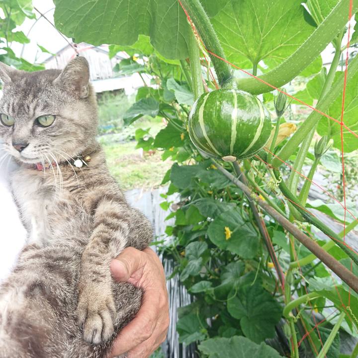 46d0b1a4 c219 4680 8798 ebe9b74bbb62 1593930531177