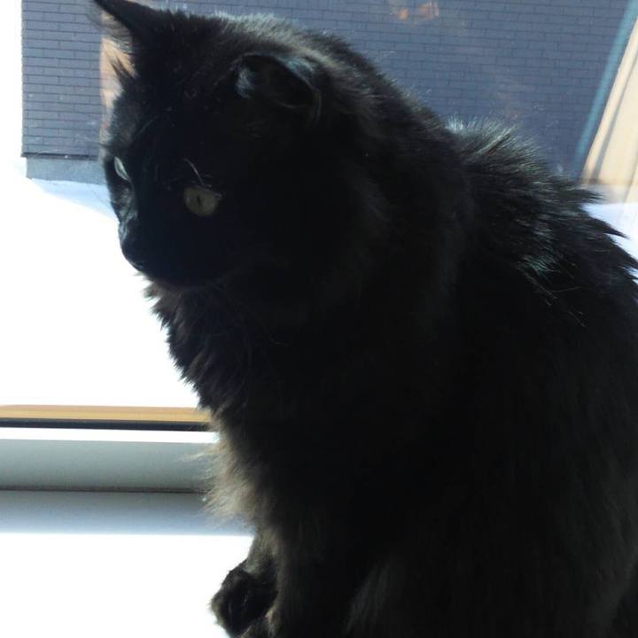 46d0c26b a15b 40ef a4c0 e86e653e80ee 1518930164955