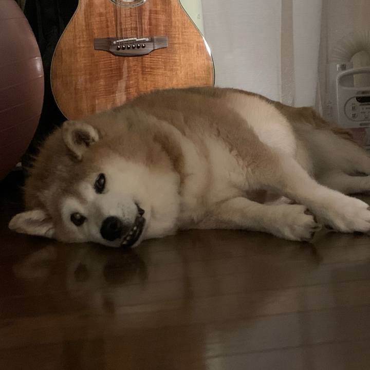 46d0d0b9 61de 4916 a480 ed02e08ca1eb 1621162026920