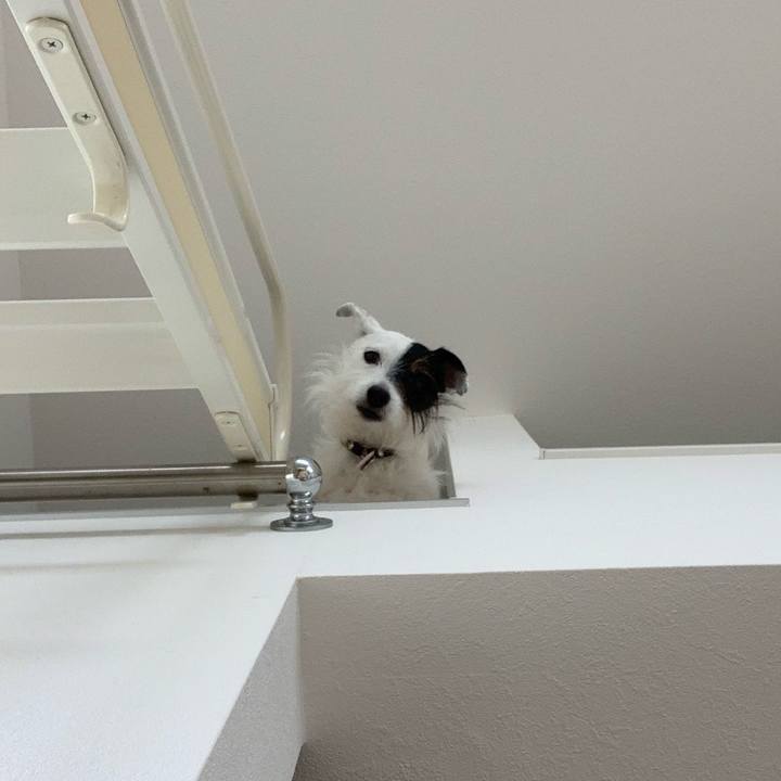 46d0d3b5 e893 49fb a73e e6029c0df61d 1653034403248