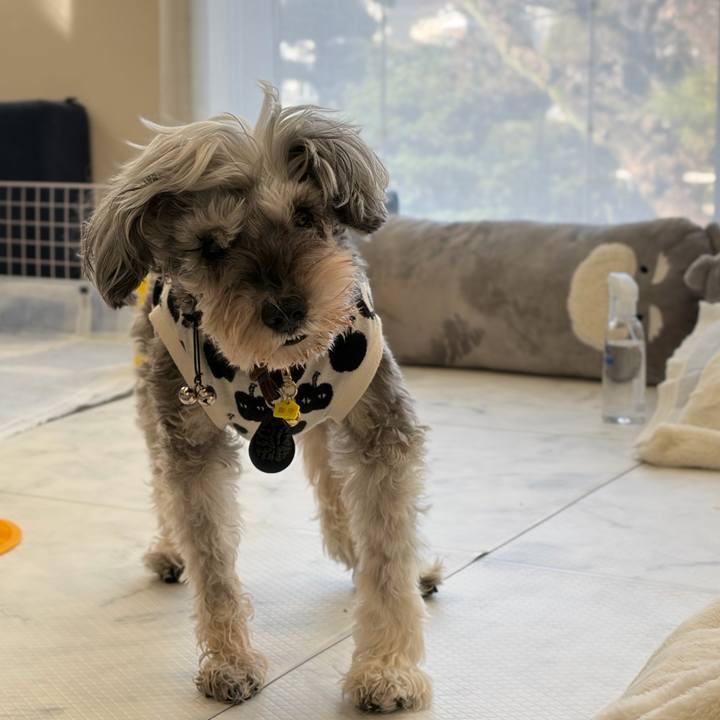 46d121b3 95a8 4da0 b981 f142d5c533cb 1772860819583